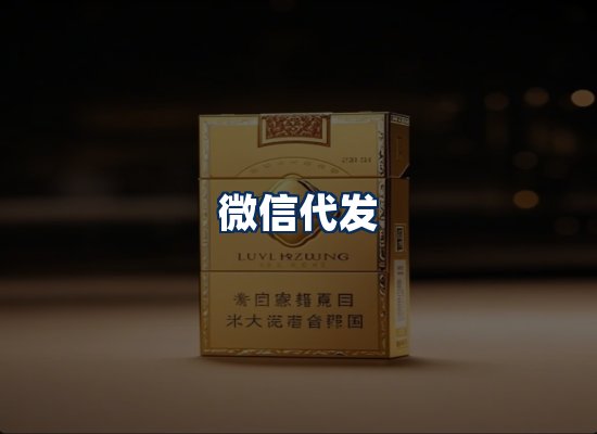 专业团队办公环境